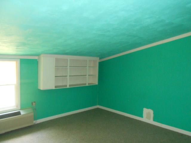 131 Morris St, Dadeville, MO 65635