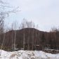 TR3 Park Drive, Chugiak, AK 99567 ID:14957867