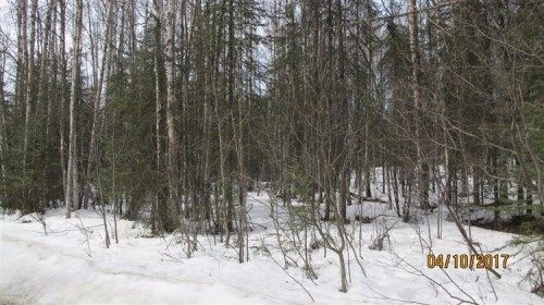 12357 W Wonderland Drive, Big Lake, AK 99652