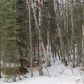 12357 W Wonderland Drive, Big Lake, AK 99652 ID:14954979
