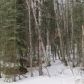 12357 W Wonderland Drive, Big Lake, AK 99652 ID:14954983