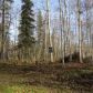 3721 S Musk Ox Street, Big Lake, AK 99652 ID:14898093