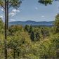 434 Seneca Dr, Ellijay, GA 30540 ID:14960472