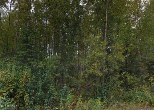 12257 Looking Glass, Big Lake, AK 99652