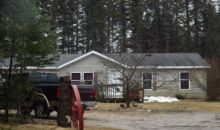 4510 Skop Rd Boyne Falls, MI 49713