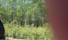 13715 W Cherrywood Drive Big Lake, AK 99652