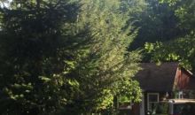 2432 Beartown Road Canadensis, PA 18325