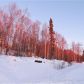 18748 Roseberry Park Drive, Eagle River, AK 99577 ID:14962746