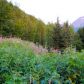 32713 Eagle River Road, Eagle River, AK 99577 ID:14964978