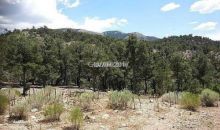 20929 Pinion Pine Road Pioche, NV 89043