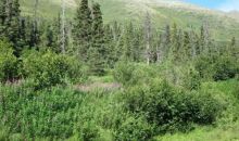 L2 B1 West River Drive Eagle River, AK 99577