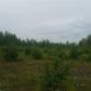 14045 W Aero Lane, Big Lake, AK 99652 ID:14955302