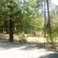 13470 Cirby Creek Rd, Oroville, CA 95965 ID:14880153