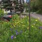 6857 Whitehall Street, Anchorage, AK 99502 ID:14897785