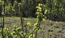 15696 W Henderson Road Big Lake, AK 99652