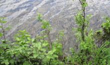 Lot 8 N Mountion Pass Circle Big Lake, AK 99652