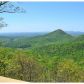 62 Rimrock Rd, Jasper, GA 30143 ID:14964255