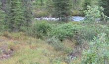 L4 B2 River Circle Eagle River, AK 99577