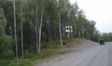6205 S Headrick Circle Big Lake, AK 99652
