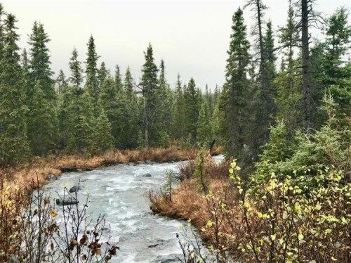 L5 B4 Southfork, Eagle River, AK 99577