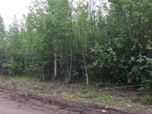 16098 W Huskie Drive, Big Lake, AK 99652