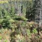 L3 B1 West River Drive, Eagle River, AK 99577 ID:14964752