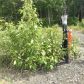 L3 Thurman Drive, Anchorage, AK 99502 ID:14910868