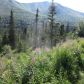 L1 B2 West River Drive, Eagle River, AK 99577 ID:14908144