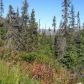 L1 B2 West River Drive, Eagle River, AK 99577 ID:14964736