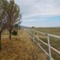 201 West 8th Street, Lund, NV 89317 ID:14996915