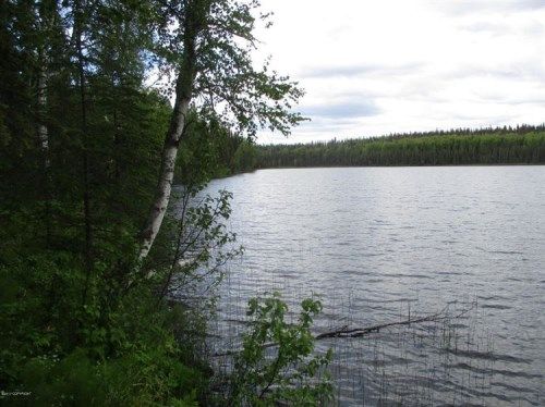Lot 10 N Mountain Pass Circle, Big Lake, AK 99652
