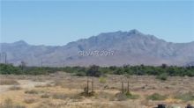 1310 Ash Meadow Pahrump, NV 89041