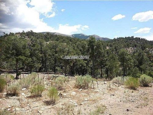 20929 Pinion Pine Road, Pioche, NV 89043