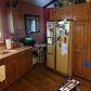 20486 Rice, Pioche, NV 89043 ID:15025624