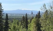 9900 McCready Circle Anchorage, AK 99507