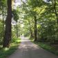 209 SHINKLE CHAPEL RD, Hartford, KY 42347 ID:15054553