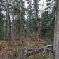 L28 B3 Main Tree, Anchorage, AK 99507 ID:15035456