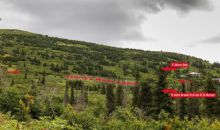 15701 Newell Drive Anchorage, AK 99516
