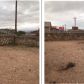 3029 Woodhead Place, El Paso, TX 79938 ID:14945826