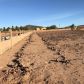 1.09 Acre W Tanya Road, Phoenix, AZ 85086 ID:15068811