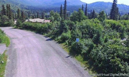 L11 B4 Norway Drive, Anchorage, AK 99516