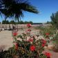 3280 West Gary Avenue, Las Vegas, NV 89139 ID:15064935