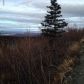 L9 B2 Kings Way Drive, Anchorage, AK 99516 ID:14949625