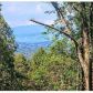 1632 Spring Cove Rd, Blairsville, GA 30512 ID:15150330