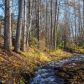 17150 Vanover Circle, Eagle River, AK 99577 ID:15053223