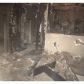 977 Parsons St SW, Atlanta, GA 30314 ID:15172535