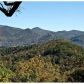 921 Smokey Hollow Dr, Dillard, GA 30537 ID:14950670