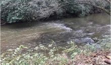 295 Horseshoe Ln Dahlonega, GA 30533