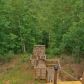 1403 Foxhound Trl NE, Ranger, GA 30734 ID:15156909