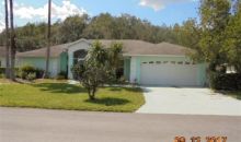 29443 SCHINNECOCK HILLS LN San Antonio, FL 33576